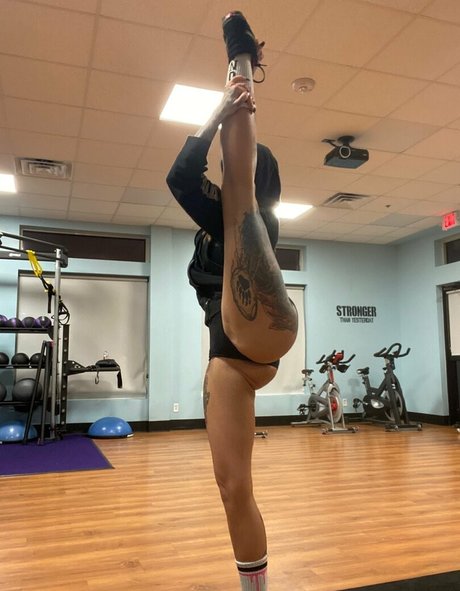 whitedovecries star pictures