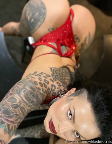 whitedovecries pornstar sex image