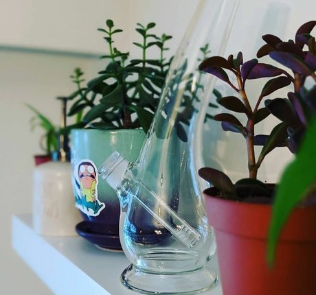 wetrosie star adult images