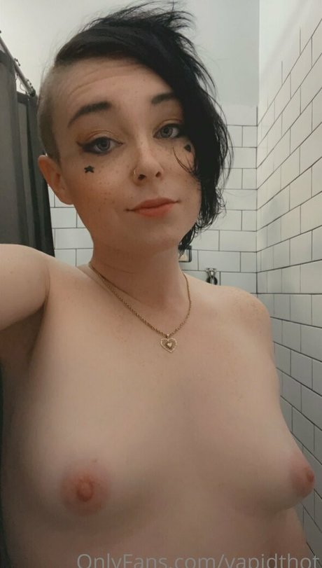 vapidthot top pornstar galleries