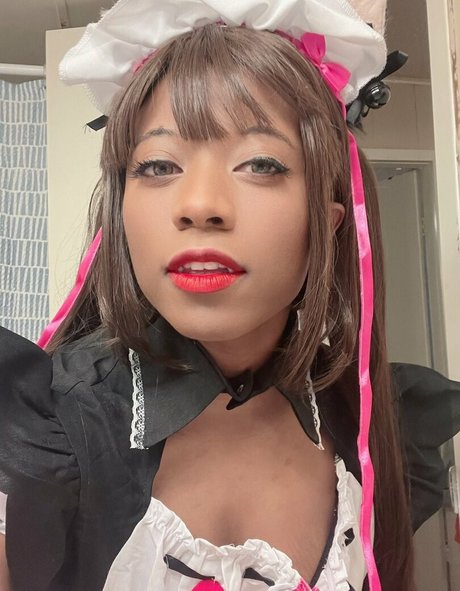 kittyflutevt nice model archive