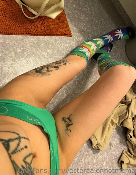 vesteraalenhotmama profile image