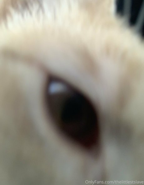 beautiful japanese onlyfans pornographic gallery