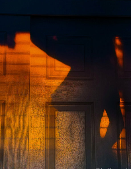 Hailie Rosie model exclusive photo