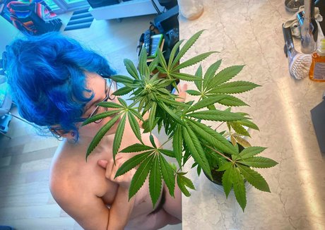 heather05148980 perfect actress gallery