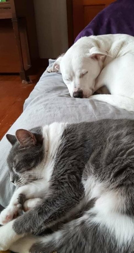 femboy asian onlyfans hot porn pics