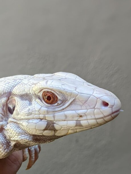 heatandhoney star hot pics