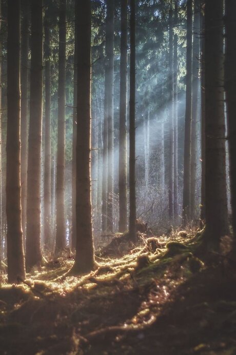 Goddess_ exclusive model photos