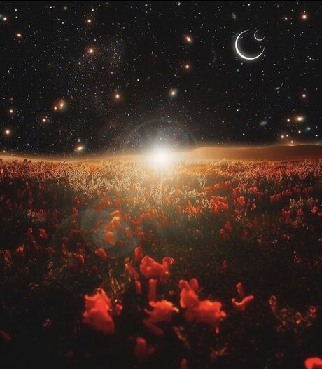 702latino sexy actress galleries