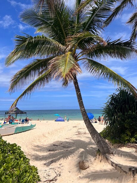 brother onlyfans beautiful porn pic