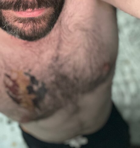 Gibbo bear best model img