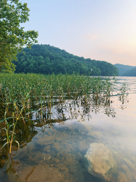 Huskycub58 star perfect images