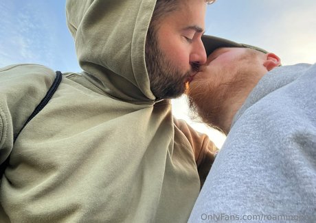 roaminghog hd pornstar archive