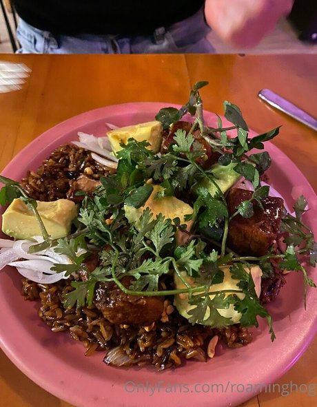 roaminghog sexy pornstar pic