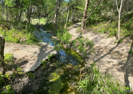 babyven0m free model archive