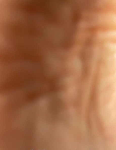 miss piggytoes pornographic star gallery