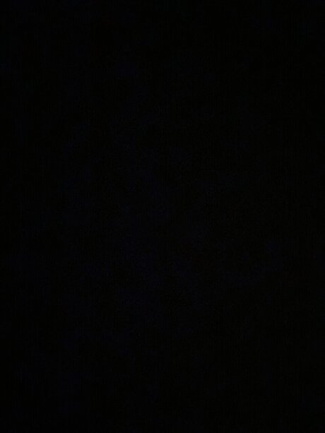 realblondie adult model pic