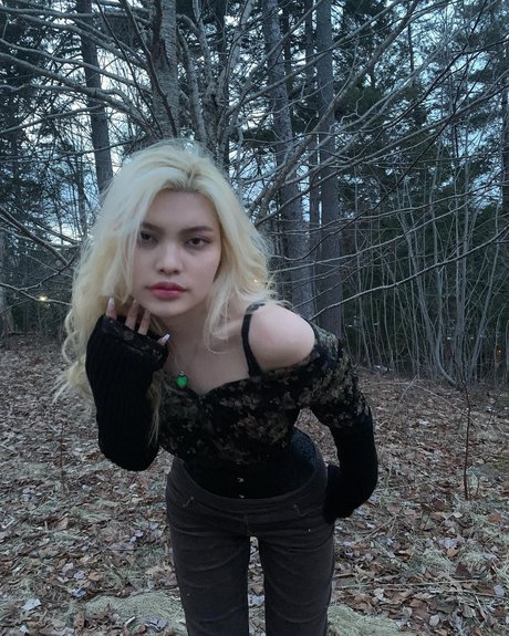 diakimeko high quality star img