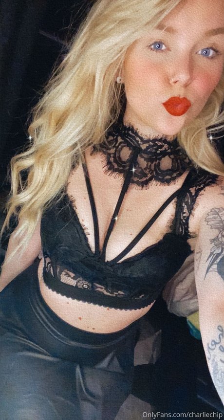 Charlie Chip perfect model gallery