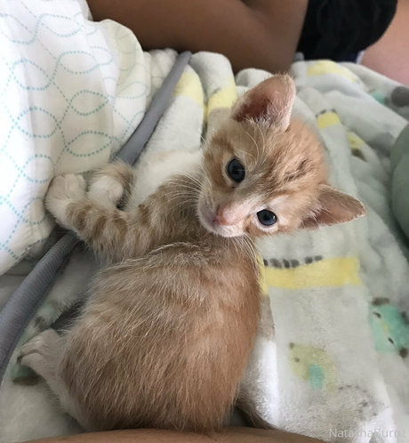 gay cock onlyfans adult archive