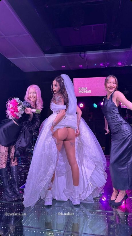 Diana Melison naked actress image