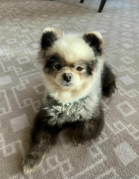 khloete sex actress pic