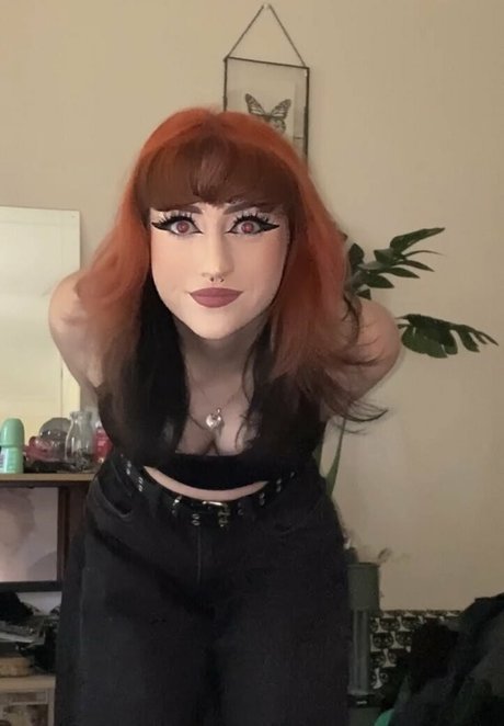 Exotiiac star adult picture