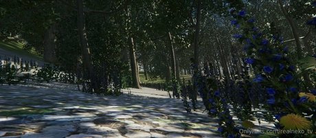 realneko tv pornstar hd pictures