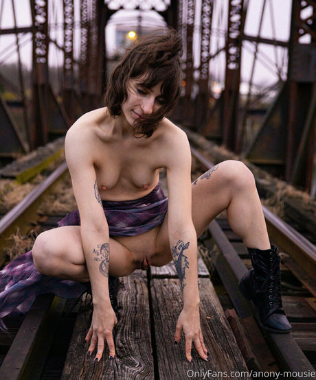 anony mousie high quality star img