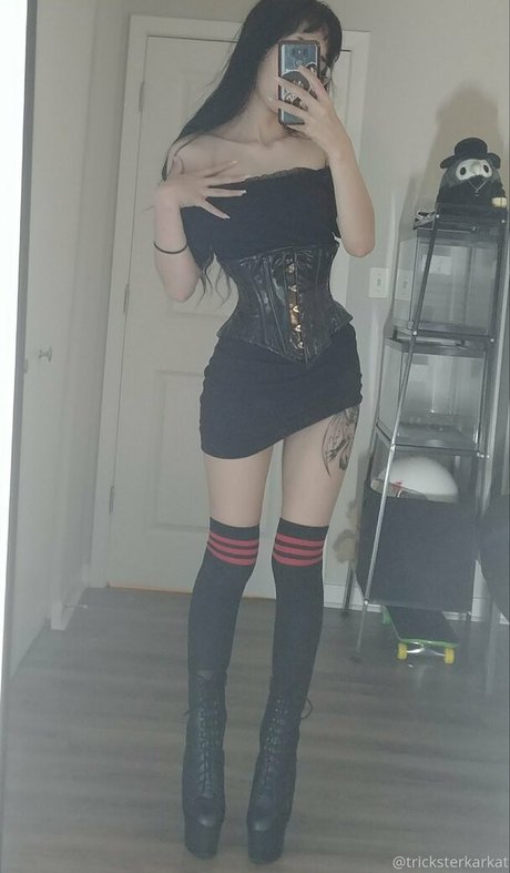 Tricksterkarkat star high quality picture