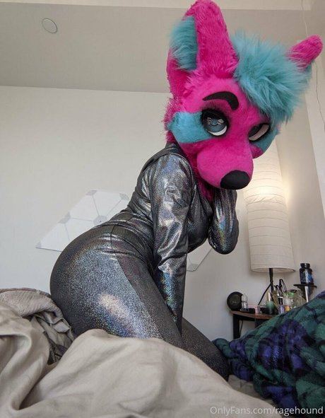 ragehound pornstar perfect photo