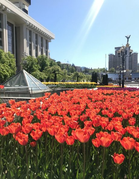 fat pussy onlyfans adult photo