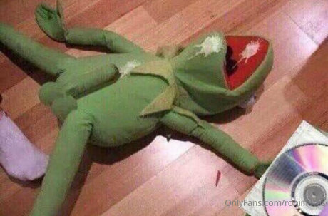 roniiflores exclusive model image