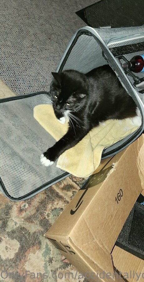 accidentallydelicious model pornographic photos