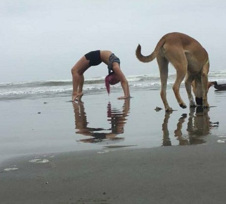 accidentallydelicious star porn pics