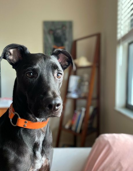 brycesgfkatya adult actress archive