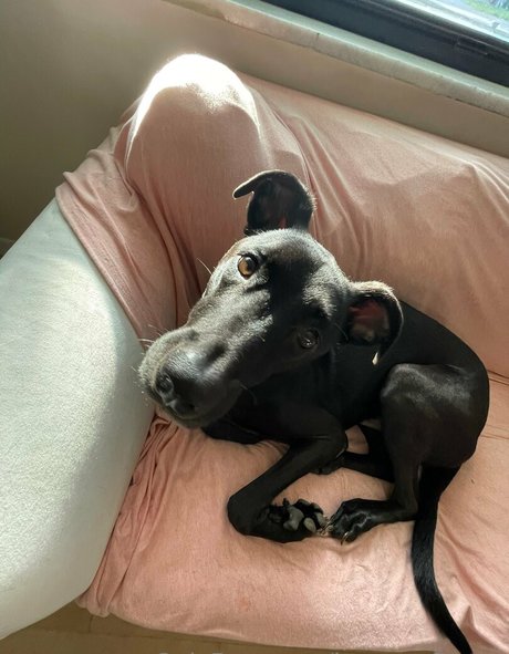 brycesgfkatya xxx actress pictures