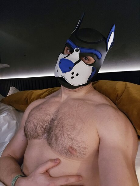 pupbuday art pornstar pictures