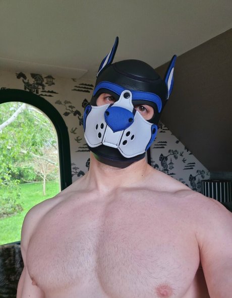 pupbuday pornographic star img