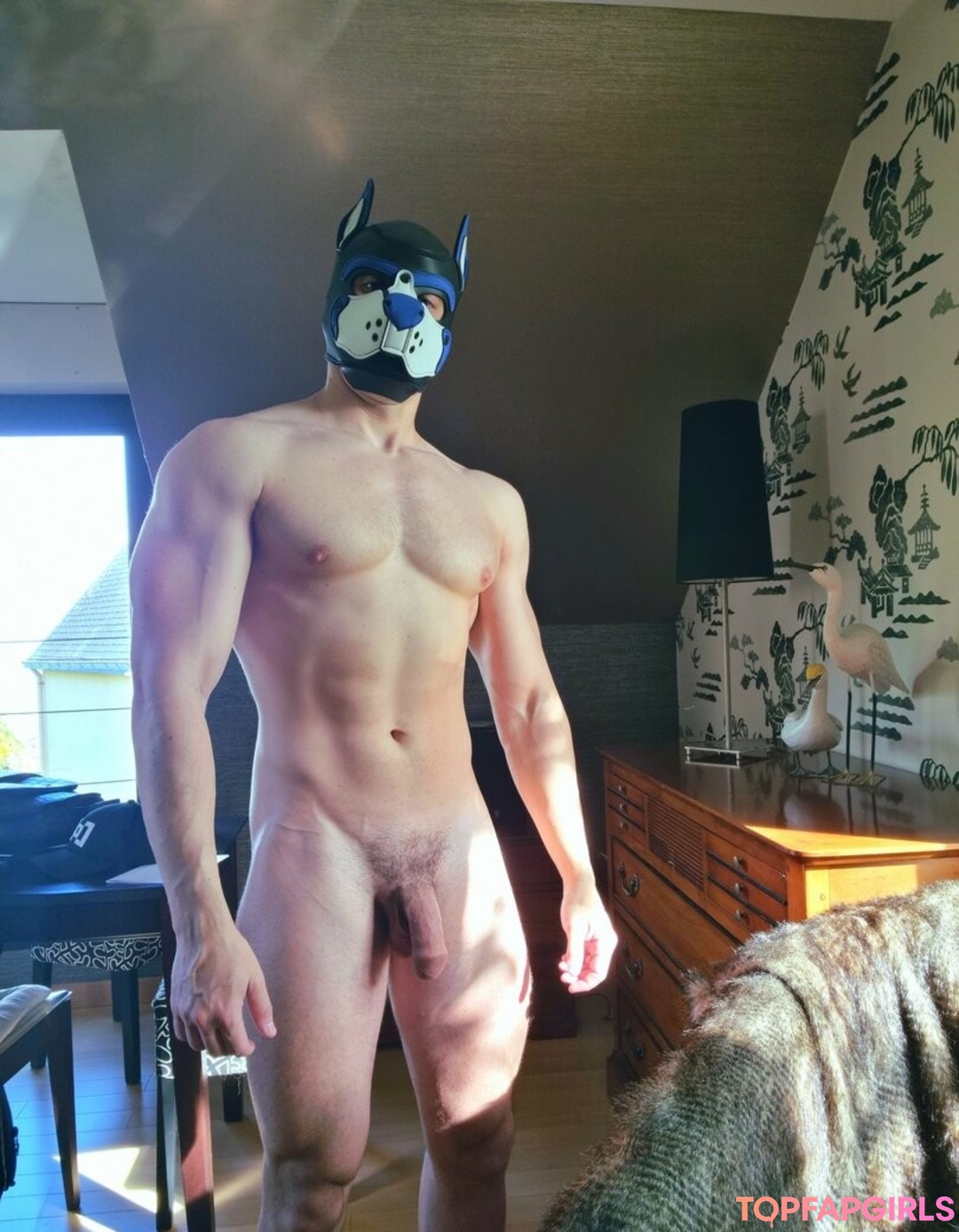 pupbuday star adult picture