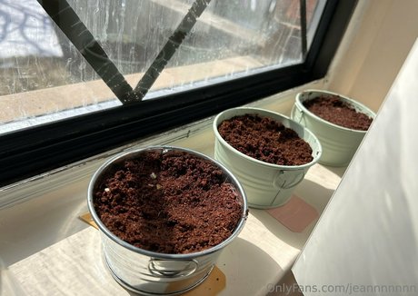 jeannnnnnn profile image