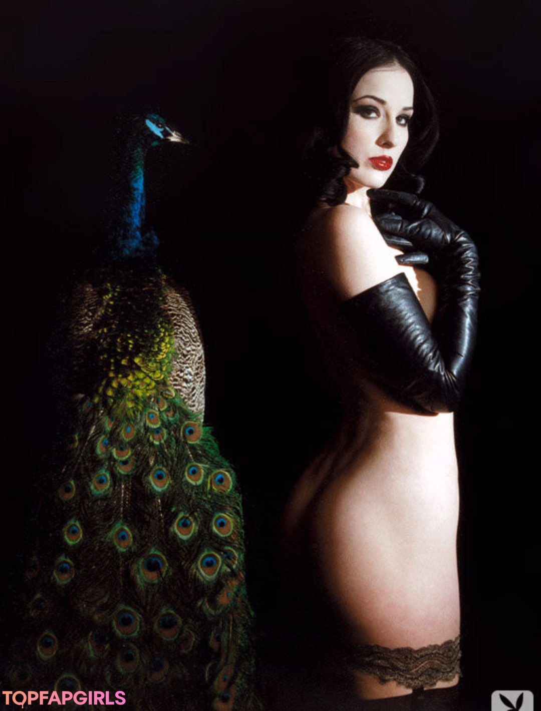 Dita Von Teese pretty pornstar gallery