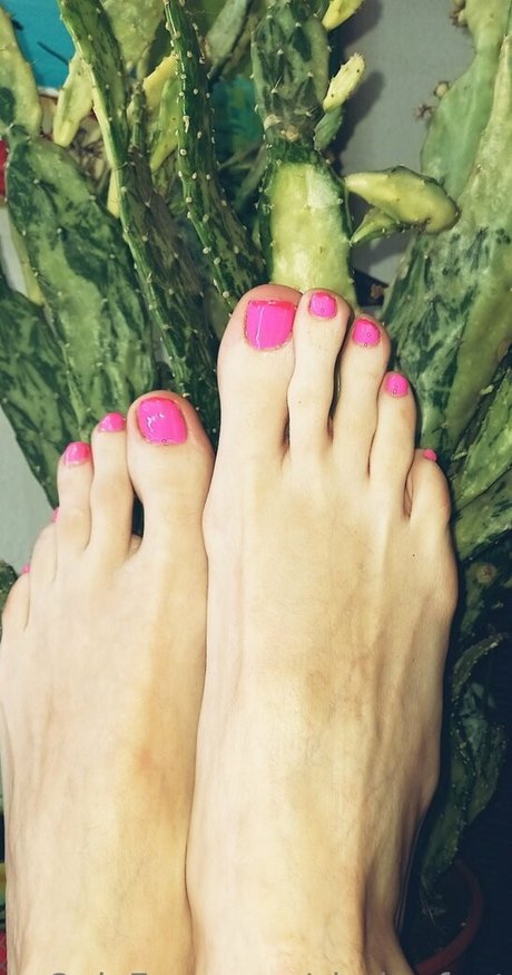 clarita feet best star images