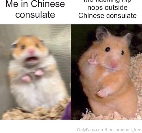 melissa cho chang free pornstar hd pic