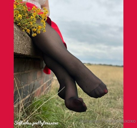 softsoles prettytoesxoxo star nice gallery