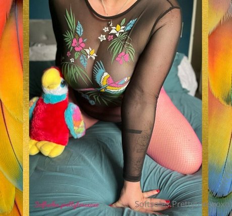 softsoles prettytoesxoxo star art pic