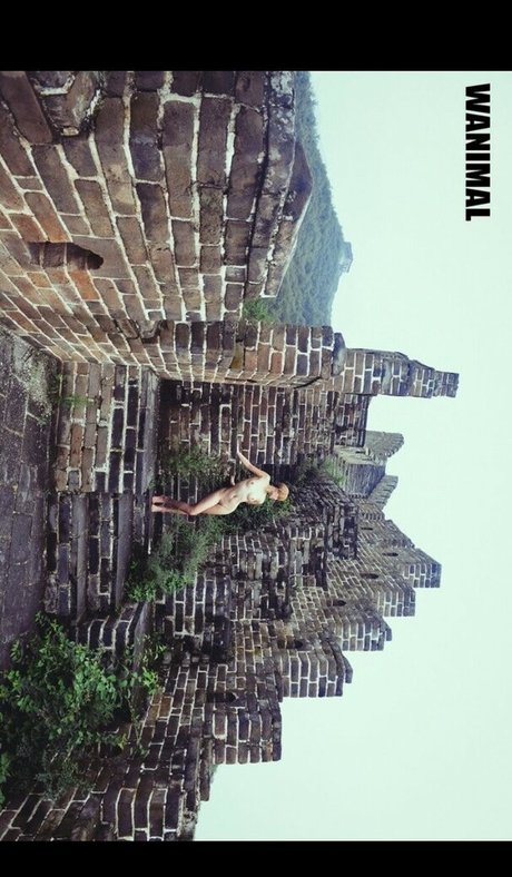 azhua star erotic archive