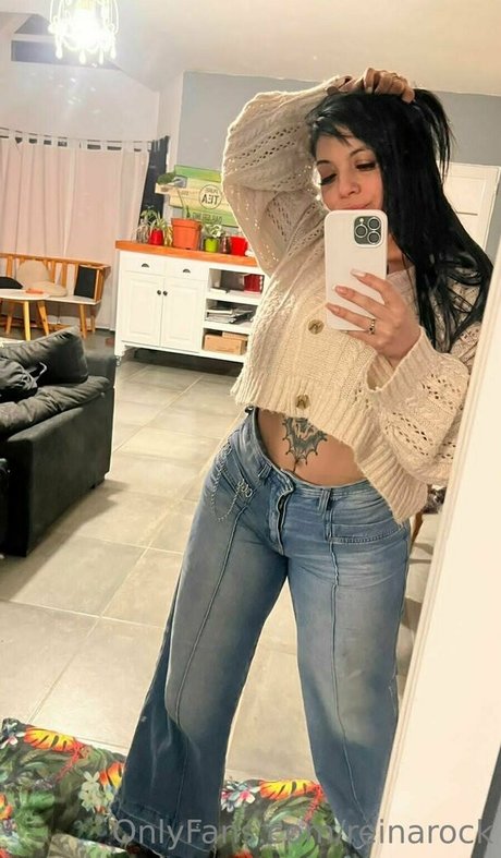 reinarock model top picture