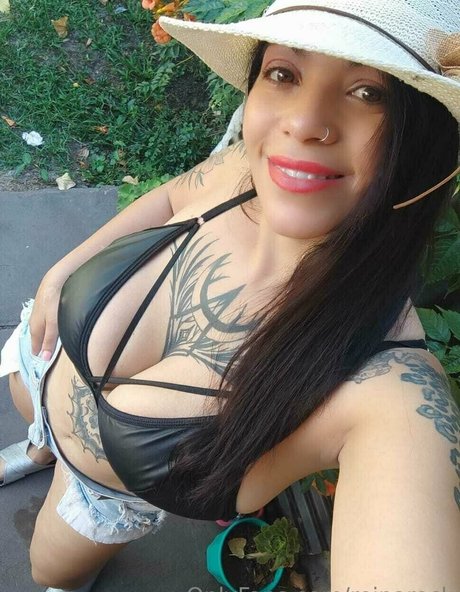 reinarock nice model galleries