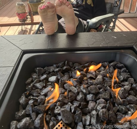 Miliani star top photo